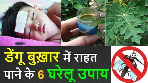 dengue fever treatment hindi